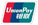 UNION PAY CARD